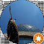 a rus