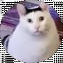 Дмитрий Филенко