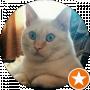 Anton