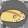 AVOKADIK