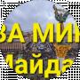 валерия желанная
