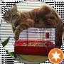 Cat Havent
