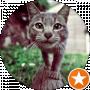 Thomas Lynx