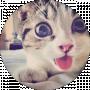 Silver Cat