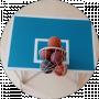 Coach KhersonBasket