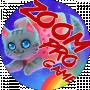 Zoom_Pro Game