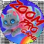 Zoom_Pro Game