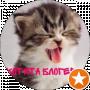 Котята Блогеры