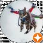 Byte Surfer