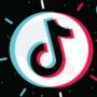 TikTok Favorite