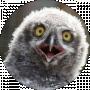 TheNikitaBest