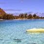 Дмитрий Добрый
