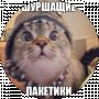 Анатолий Михеев