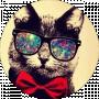 KOSMO CAT