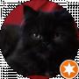 Віталій Бойко