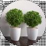 Меблі GREEN