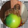 ROMAN
