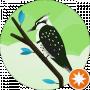 Maxim Ivashura
