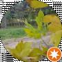 Natalia Мона