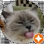 Елена Шарко