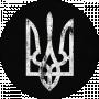 Игорь Кричин