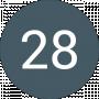 28