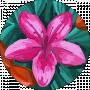 Оля Обужована