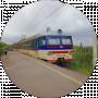 Lolita Stolz