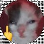 Play Boy
