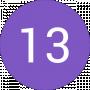13 Dpsu