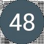 48 3