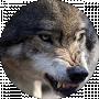 Were Wolf