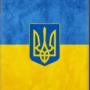 Курсы в Киеве, Курсы в Николаеве