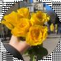 Марина Лобачева