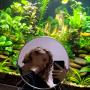 Yulia Gymenuk