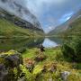 Lisa