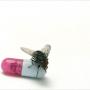 Алексей Аржанцев