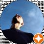 Олександр Петраківський