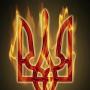 Ігор Вадимович