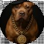 GS RECORDz