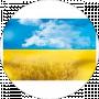 Макс Житомирський