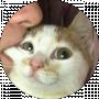 _BiGBoB1_ _
