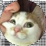 _BiGBoB1_ _