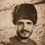 Александр Волгин