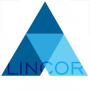 Архітектурний Дизайн Lincor