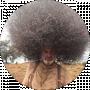 P L