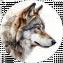 Олег Д