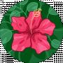 Иванна Савка