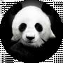 PANDA Bum