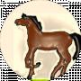 Ве Теор